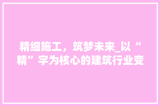 精细施工，筑梦未来_以“精”字为核心的建筑行业变革