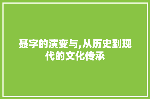 聂字的演变与,从历史到现代的文化传承