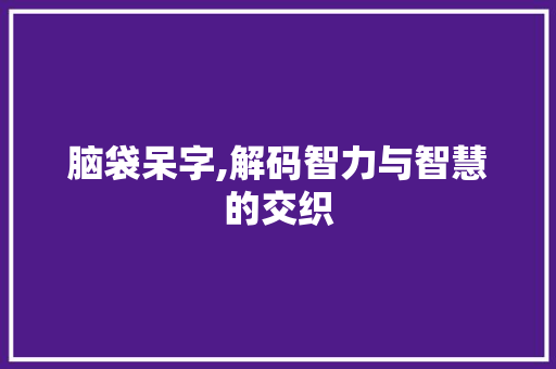脑袋呆字,解码智力与智慧的交织