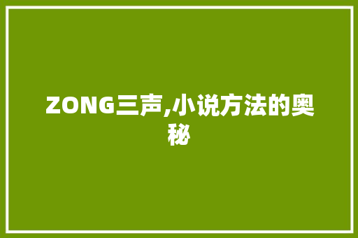 ZONG三声,小说方法的奥秘 生活感悟
