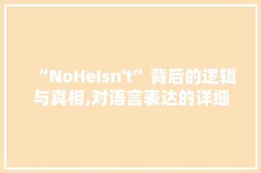 “NoHeIsn't”背后的逻辑与真相,对语言表达的详细讨论