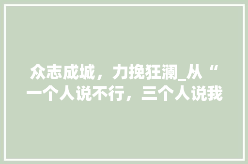 众志成城，力挽狂澜_从“一个人说不行，三个人说我觉得”谈集体智慧的力量 生活类