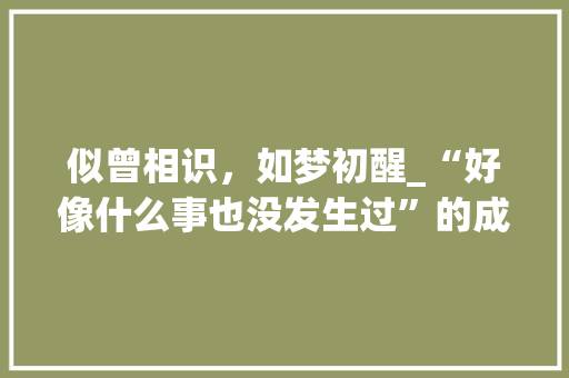 似曾相识，如梦初醒_“好像什么事也没发生过”的成语内涵