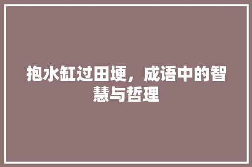 抱水缸过田埂，成语中的智慧与哲理 生活类