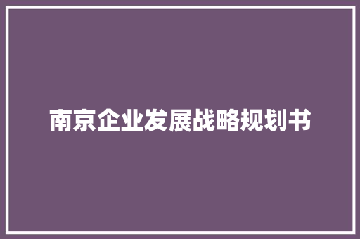 南京企业发展战略规划书