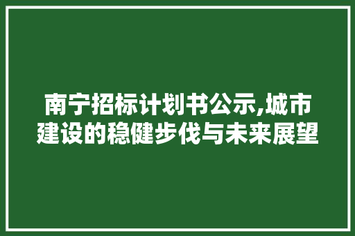 南宁招标计划书公示,城市建设的稳健步伐与未来展望