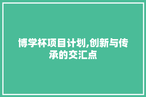 博学杯项目计划,创新与传承的交汇点