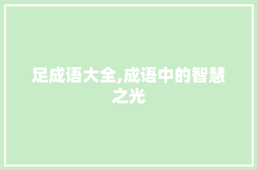足成语大全,成语中的智慧之光