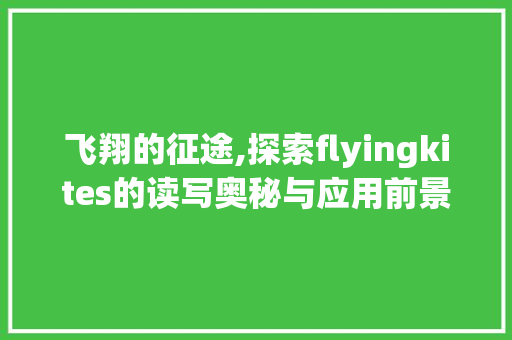 飞翔的征途,探索flyingkites的读写奥秘与应用前景