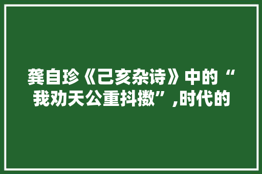 龚自珍《己亥杂诗》中的“我劝天公重抖擞”,时代的呼唤与民族的觉醒