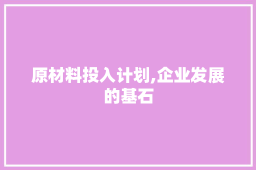 原材料投入计划,企业发展的基石