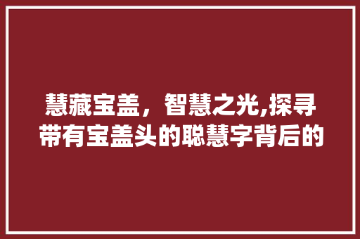 慧藏宝盖，智慧之光,探寻带有宝盖头的聪慧字背后的文化内涵_意思是聪慧带宝盖头的字