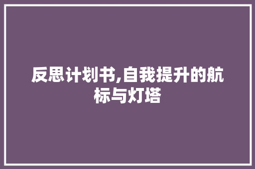 反思计划书,自我提升的航标与灯塔