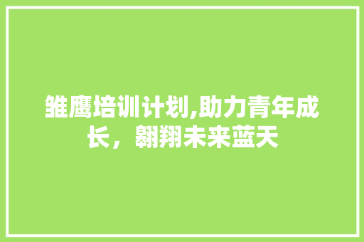 雏鹰培训计划,助力青年成长，翱翔未来蓝天
