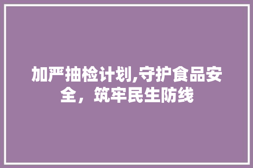 加严抽检计划,守护食品安全，筑牢民生防线