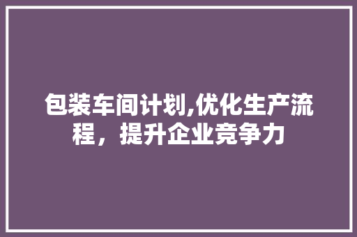 包装车间计划,优化生产流程，提升企业竞争力