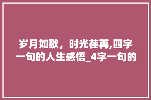 岁月如歌，时光荏苒,四字一句的人生感悟_4字一句的段落意思造句