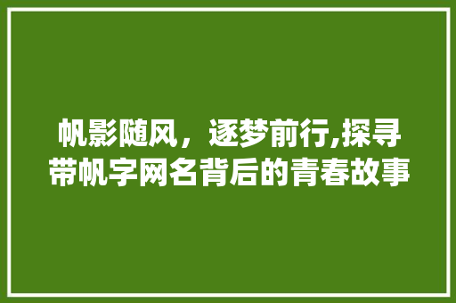 帆影随风，逐梦前行,探寻带帆字网名背后的青春故事_带帆字的有意思网名男生 生活随笔