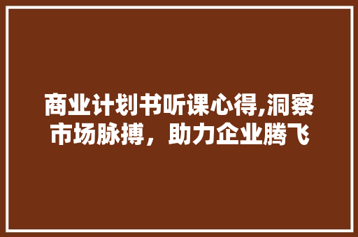 商业计划书听课心得,洞察市场脉搏，助力企业腾飞