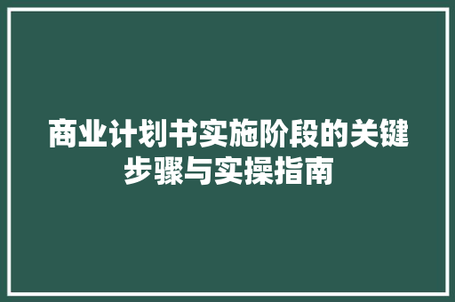 商业计划书实施阶段的关键步骤与实操指南