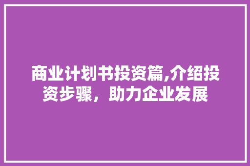 商业计划书投资篇,介绍投资步骤，助力企业发展 商业文稿
