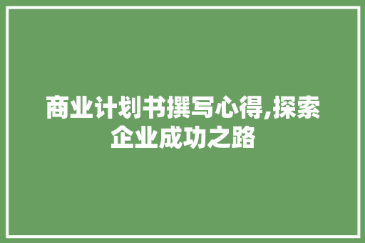 商业计划书撰写心得,探索企业成功之路
