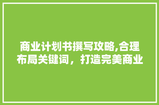 商业计划书撰写攻略,合理布局关键词，打造完美商业蓝图 采访稿