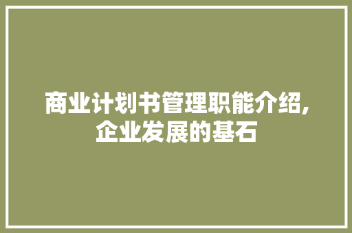 商业计划书管理职能介绍,企业发展的基石