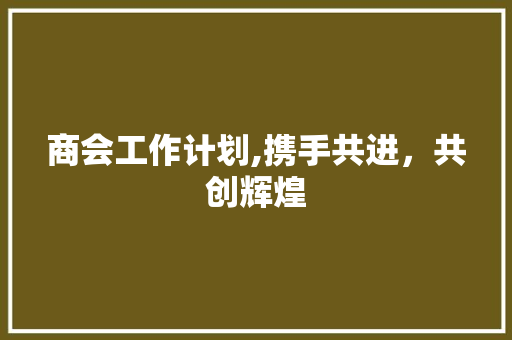 商会工作计划,携手共进，共创辉煌