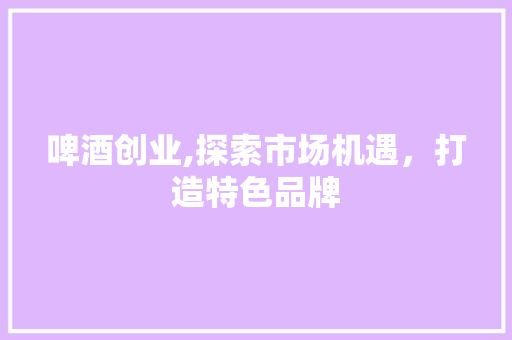 啤酒创业,探索市场机遇，打造特色品牌