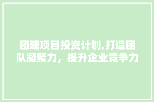 团建项目投资计划,打造团队凝聚力，提升企业竞争力 生活随笔