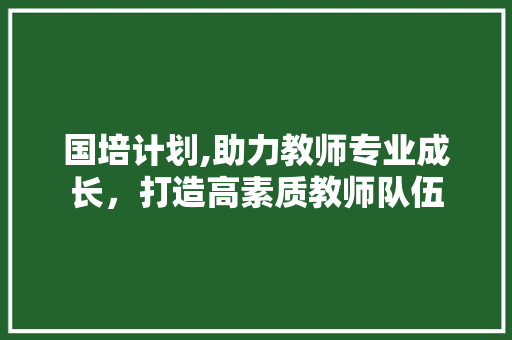 国培计划,助力教师专业成长，打造高素质教师队伍