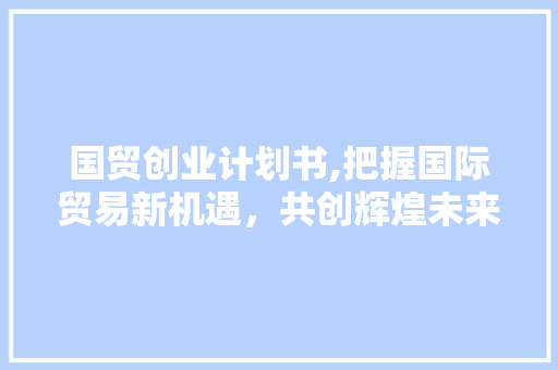 国贸创业计划书,把握国际贸易新机遇，共创辉煌未来