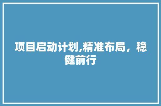 项目启动计划,精准布局，稳健前行