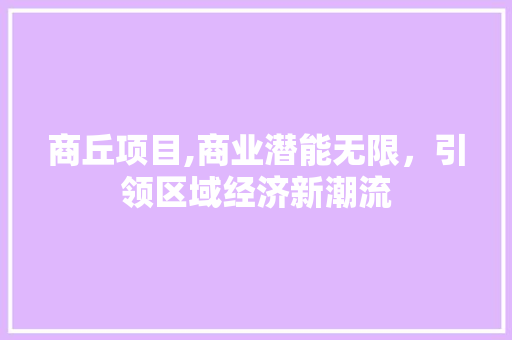 商丘项目,商业潜能无限，引领区域经济新潮流
