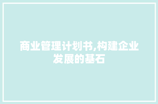 商业管理计划书,构建企业发展的基石 生活类