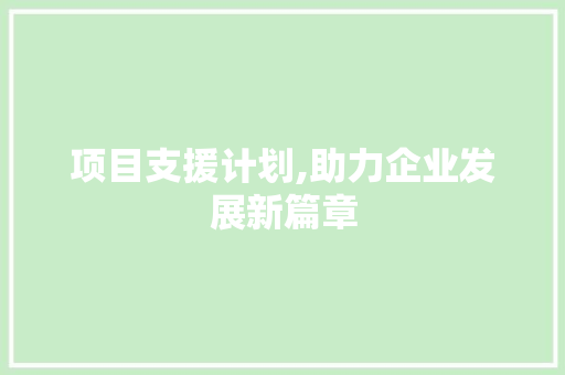 项目支援计划,助力企业发展新篇章