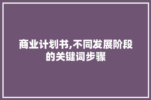 商业计划书,不同发展阶段的关键词步骤 特写稿