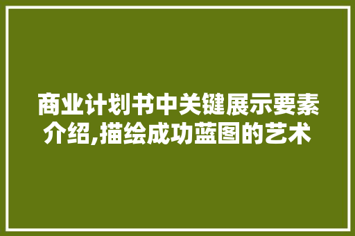商业计划书中关键展示要素介绍,描绘成功蓝图的艺术 工作报告