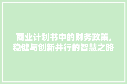 商业计划书中的财务政策,稳健与创新并行的智慧之路