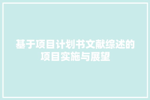 基于项目计划书文献综述的项目实施与展望