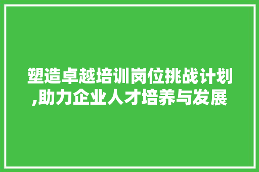 塑造卓越培训岗位挑战计划,助力企业人才培养与发展的新篇章 采访稿