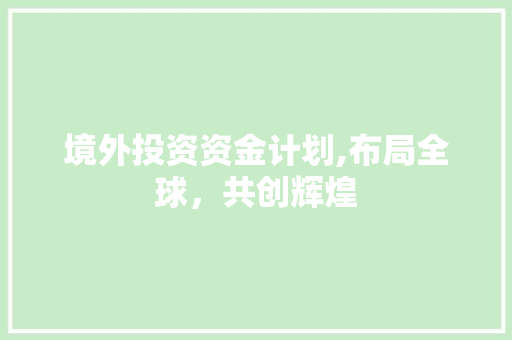 境外投资资金计划,布局全球，共创辉煌