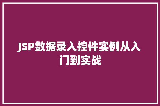 JSP数据录入控件实例从入门到实战
