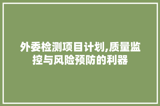 外委检测项目计划,质量监控与风险预防的利器