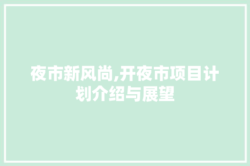 夜市新风尚,开夜市项目计划介绍与展望