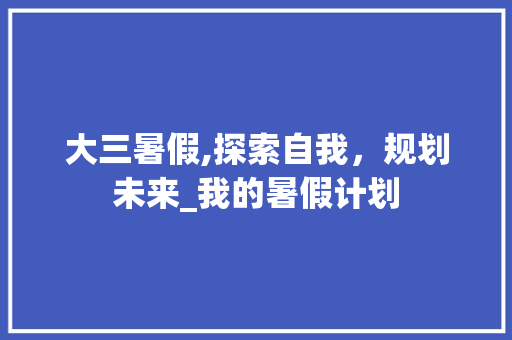 大三暑假,探索自我，规划未来_我的暑假计划