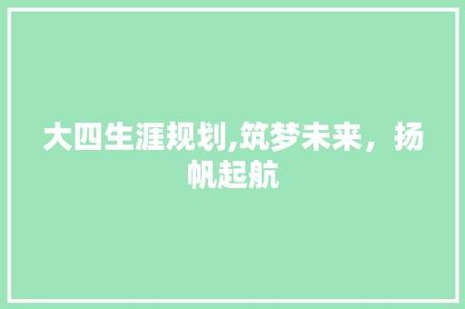 大四生涯规划,筑梦未来，扬帆起航