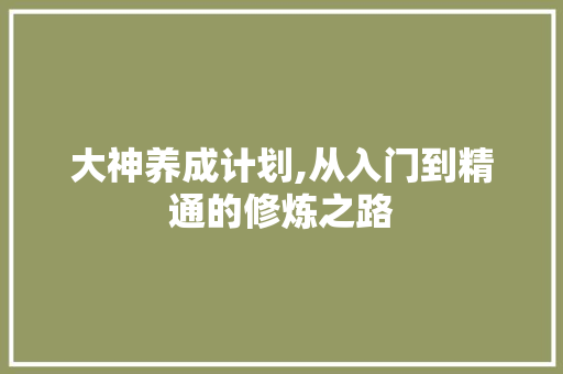 大神养成计划,从入门到精通的修炼之路