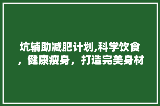 坑辅助减肥计划,科学饮食，健康瘦身，打造完美身材